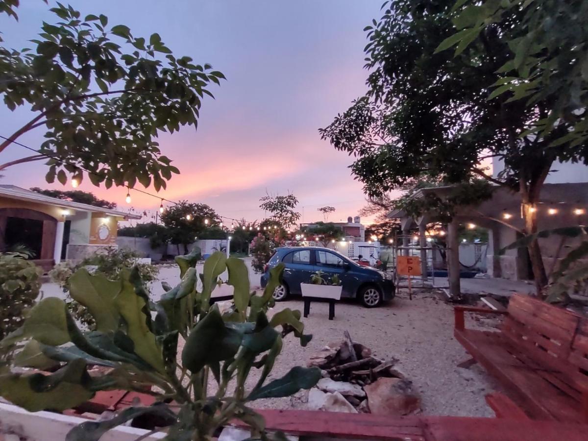 Hotel Villa Gabriela - Restaurant, Bikes ,Lands Tours เซเลสตุน ภายนอก รูปภาพ