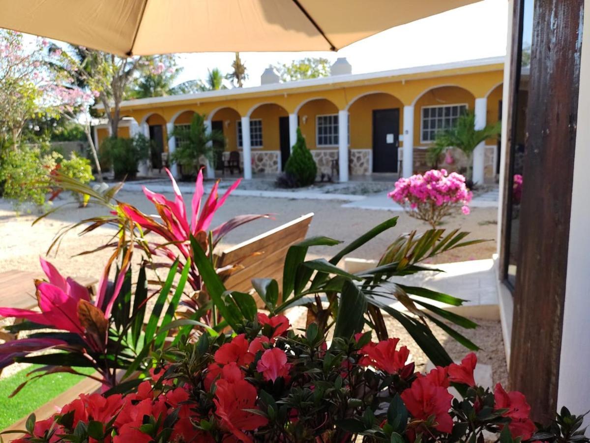 Hotel Villa Gabriela - Restaurant, Bikes ,Lands Tours เซเลสตุน ภายนอก รูปภาพ