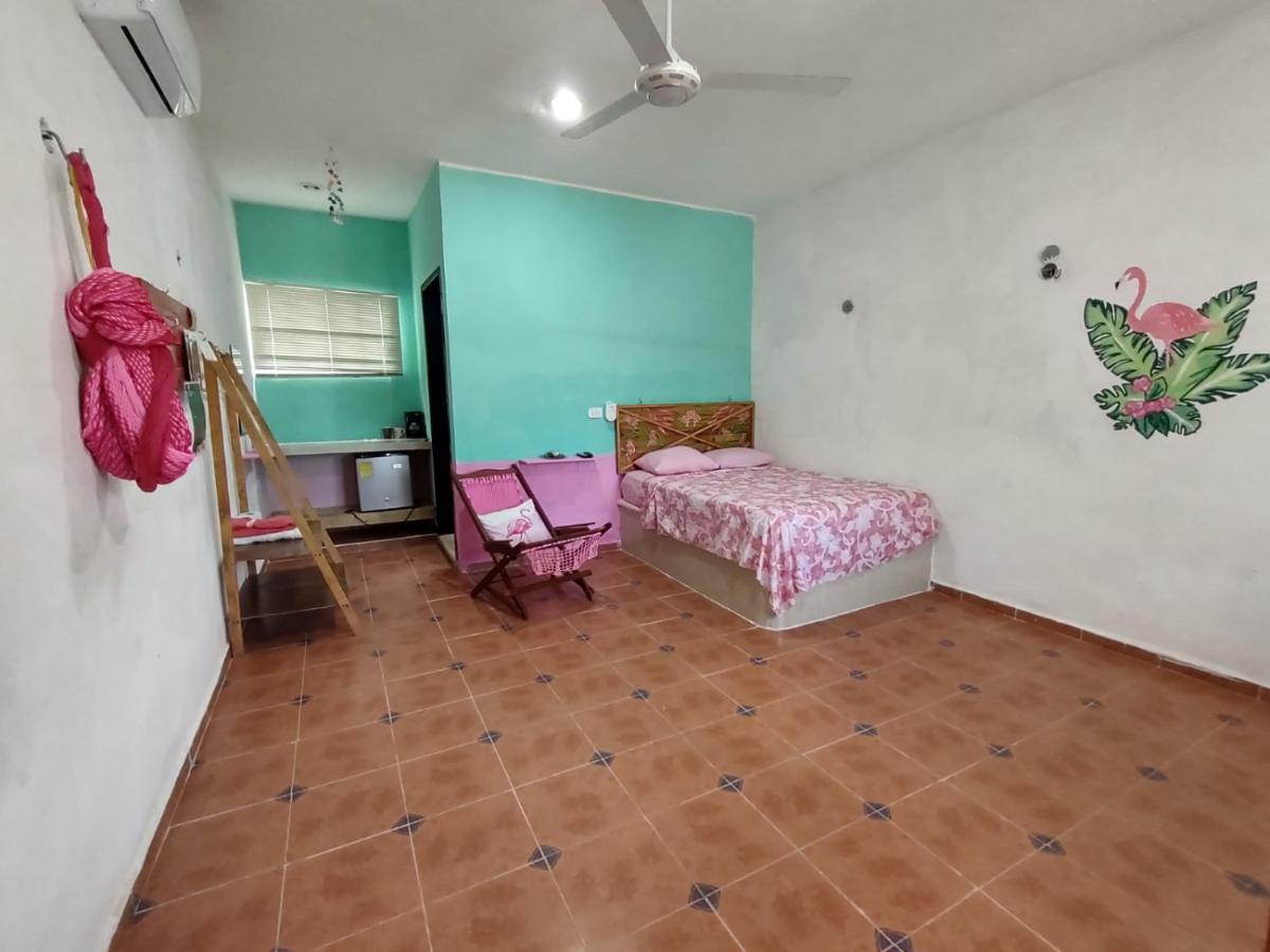 Hotel Villa Gabriela - Restaurant, Bikes ,Lands Tours เซเลสตุน ภายนอก รูปภาพ