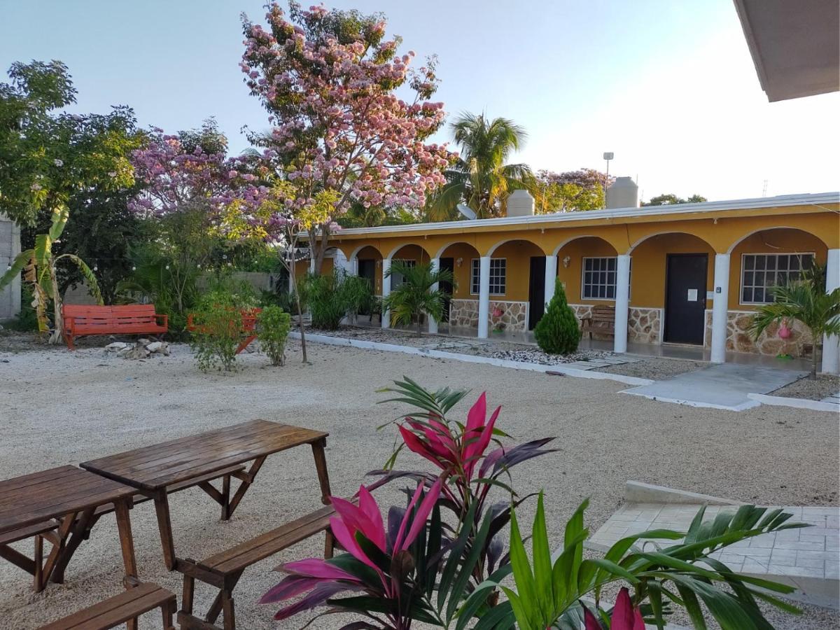 Hotel Villa Gabriela - Restaurant, Bikes ,Lands Tours เซเลสตุน ภายนอก รูปภาพ