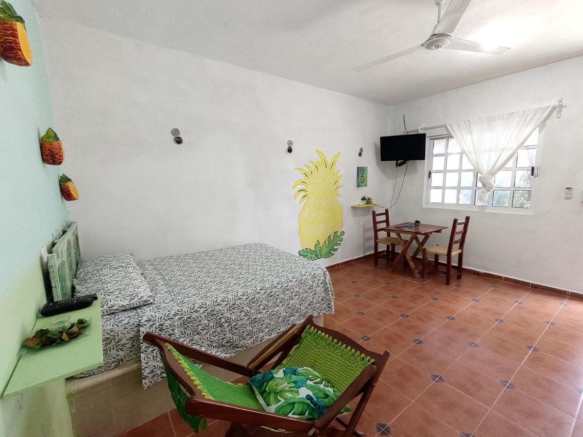 Hotel Villa Gabriela - Restaurant, Bikes ,Lands Tours เซเลสตุน ภายนอก รูปภาพ
