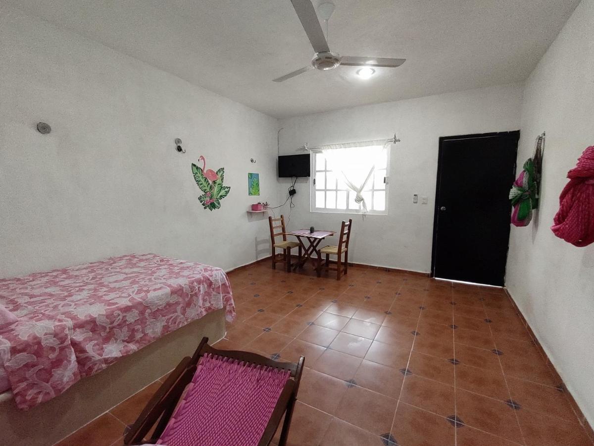 Hotel Villa Gabriela - Restaurant, Bikes ,Lands Tours เซเลสตุน ภายนอก รูปภาพ